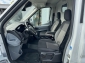 Ford Transit 350 L3H2 Navi Sth SHZ Temp Regale ZR Neu Regale