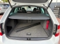 Skoda Octavia RS DSG ACC CARPLAY MEMORY RFKA KEYLESS