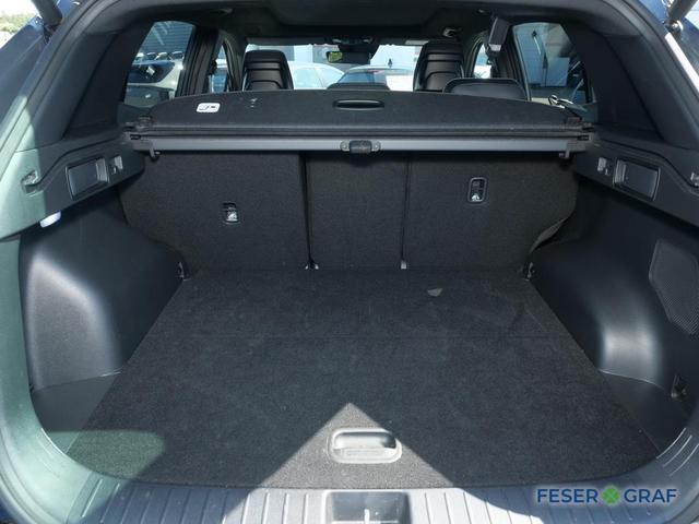 Kia Sportage – Bild 9