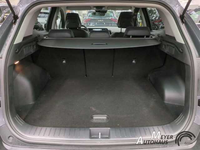 Kia Sportage – Bild 6