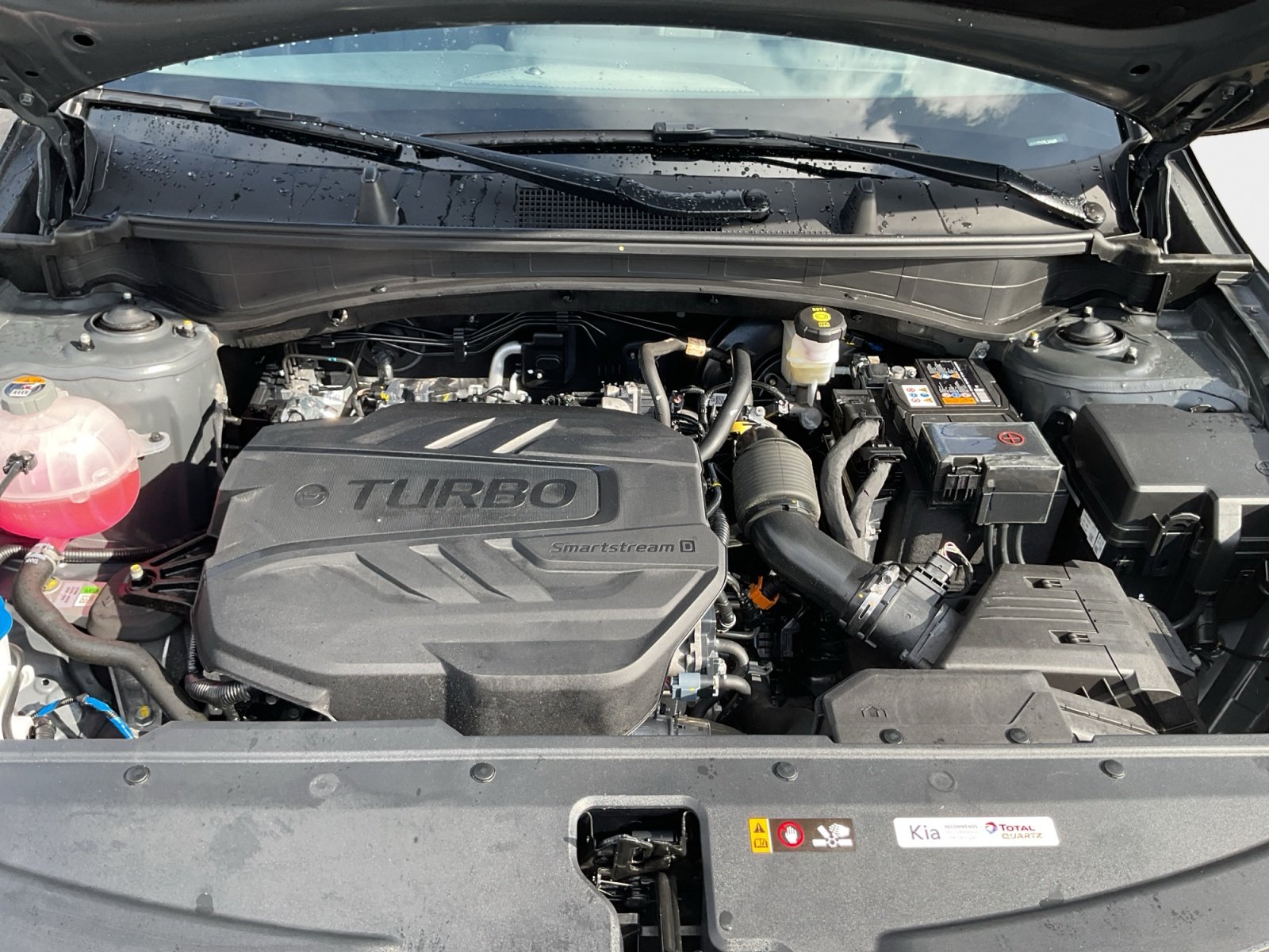Kia Sportage – Bild 14