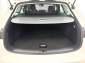 Cupra Leon SP 2.0 TDI ACC CarPlay Navi LED Rcam ParkAssist
