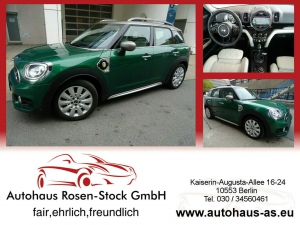 MINI Cooper SE Countryman ALL4 Autom,Leder,Panor