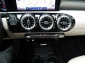 Mercedes-Benz A 250 e 8G-DCT Progressive Advance,Leder,ACC,Kamera,Panor