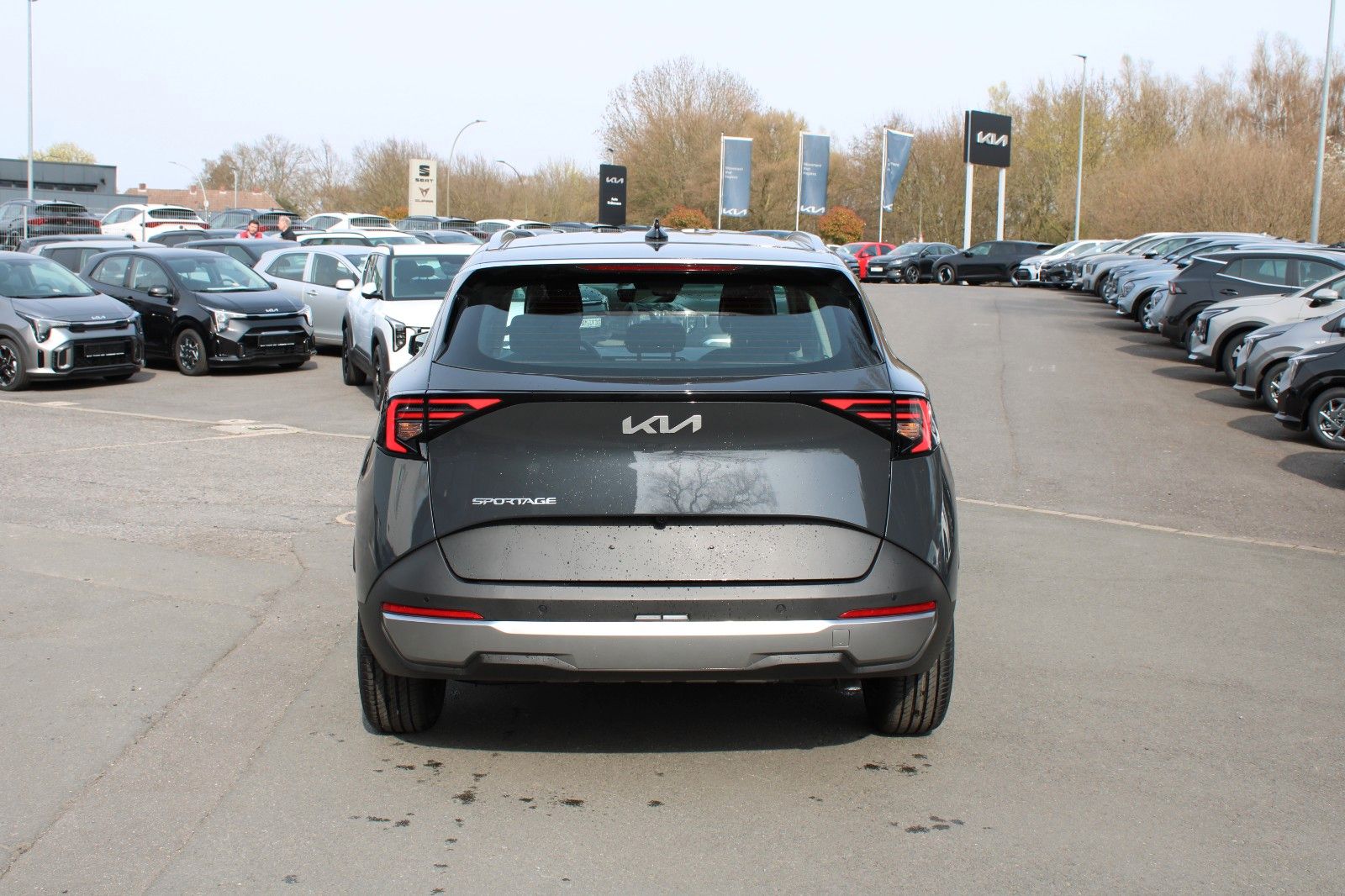 Kia Sportage – Bild 6