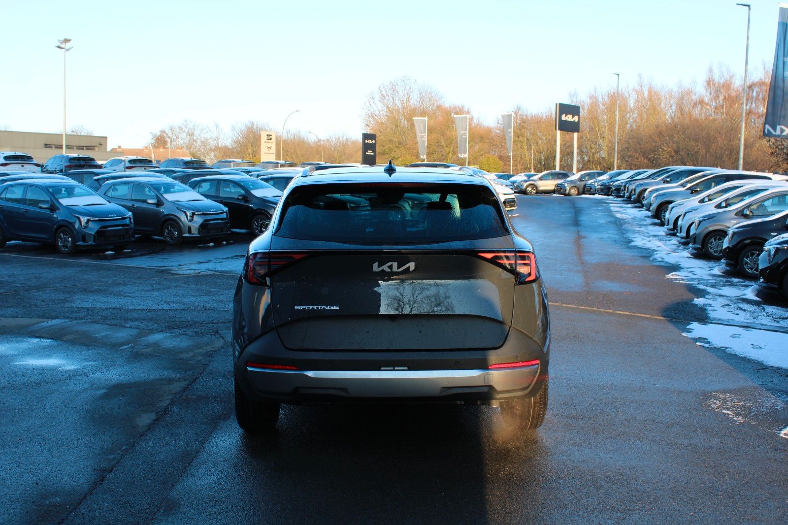 Kia Sportage – Bild 6