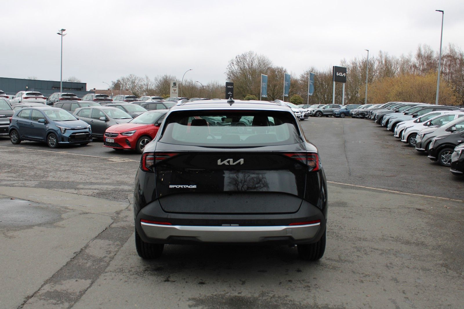 Kia Sportage – Bild 6