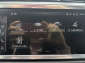 Audi Q3 35 TDI S Line Sportpaket Black design AHK RCam