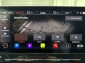 Cupra Leon VZ 2.0 TSI Navi ACC 2xSpur RCam Ambi CarPlay