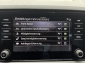 Skoda Karoq 1.5 TSI ACT Selection Navi RCam AHK Kessy CarPlay